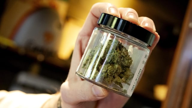 Cannabis für Schwerkranke – legal und trotzdem kaum zu bekommen