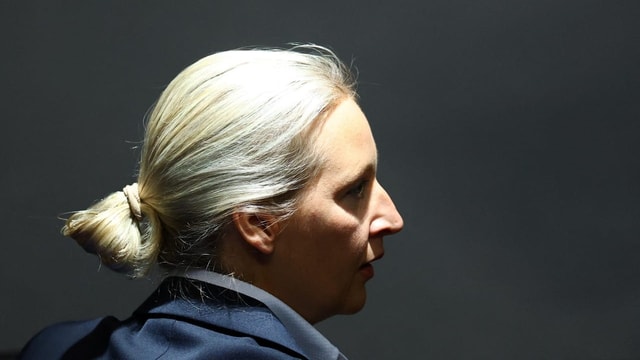 Warum die Veröffentlichung für die AfD gefährlich sein könnte