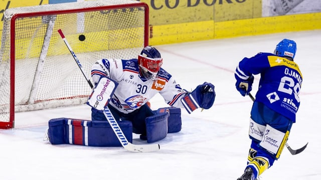 Die ZSC Lions sind der Favorit – und gewarnt