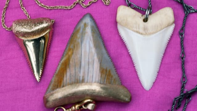 Heikle Souvenirs: Bei diesen Objekten muss man vorsichtig sein