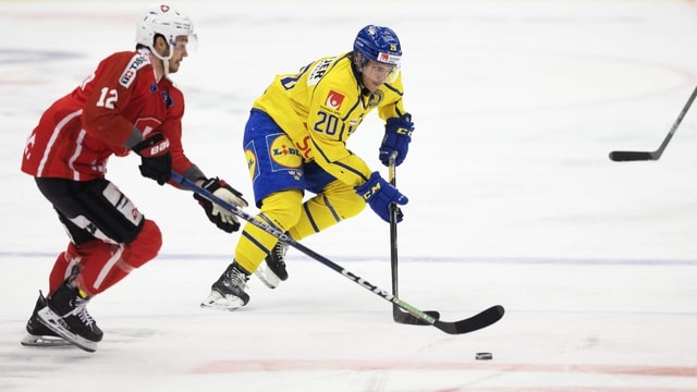 Langnau holt Petersson aus Schweden