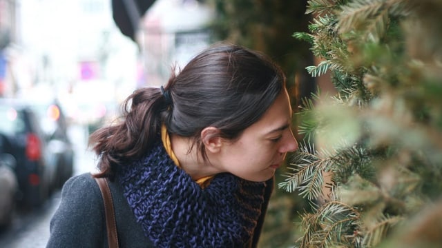 Nase vorn – der Geruchssinn des Menschen ist besser als sein Ruf