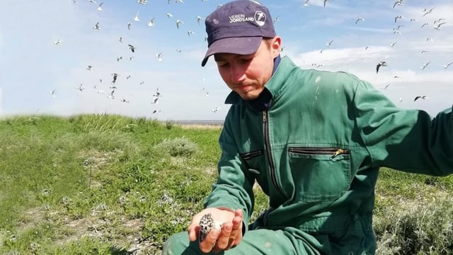 Er musste zusehen, wie tausende Wildvögel den Virustod sterben