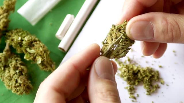 Cannabislegalisierung: Der nächste Schritt ist getan