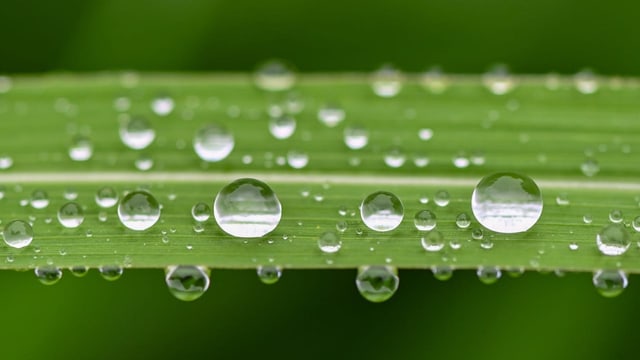 Weltweit fallen mit dem Regen Chemikalien vom Himmel