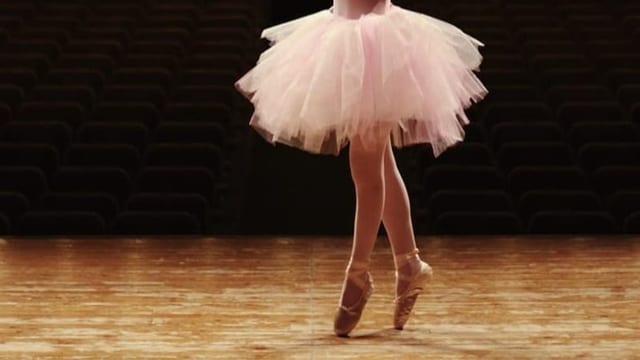 Russisches Ballett-Ensemble gab sich als ukrainisch aus