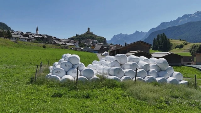 Grosse Heuernte verursacht Siloballen im Überfluss