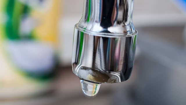 PFAS-Abbau: sauberes Wasser durch Bakterien?