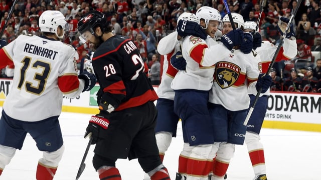 Nach Wende: Panthers stehen schon wieder im Final