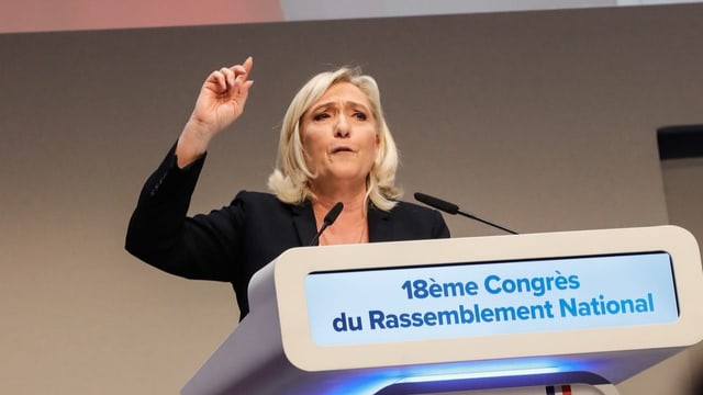 «Marine Le Pen konnte den Rassemblement National entdämonisieren»