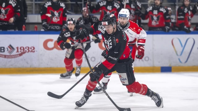 Sturnys spezielles Sommerprogramm: Eishockey in Australien