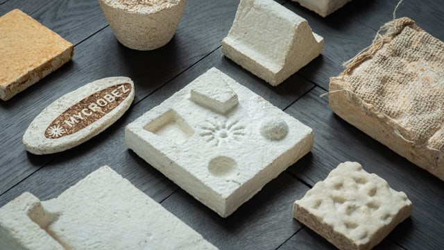 Aus Pilz mach Styropor – nachhaltige Idee aus der Schweiz