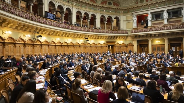 Budget 2025: Parlament streicht 110 Millionen bei Auslandshilfe