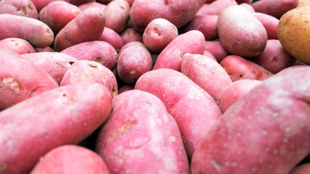 Warum für gut lagerfähige Kartoffeln Chemie zum Einsatz kommt