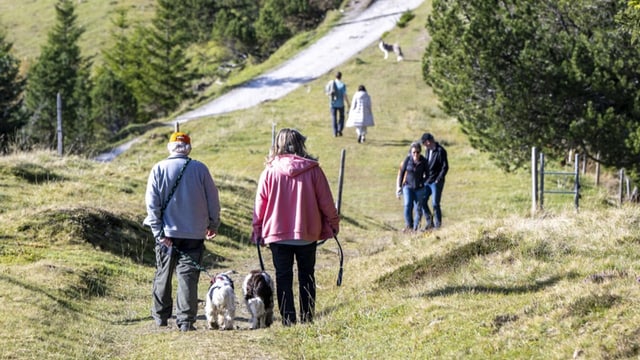 Schweizer Ferien boomen bei der Schweizer Bevölkerung
