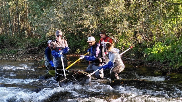 Namenssuche unter Wasser: Schweizer dürfen neue Fischarten taufen