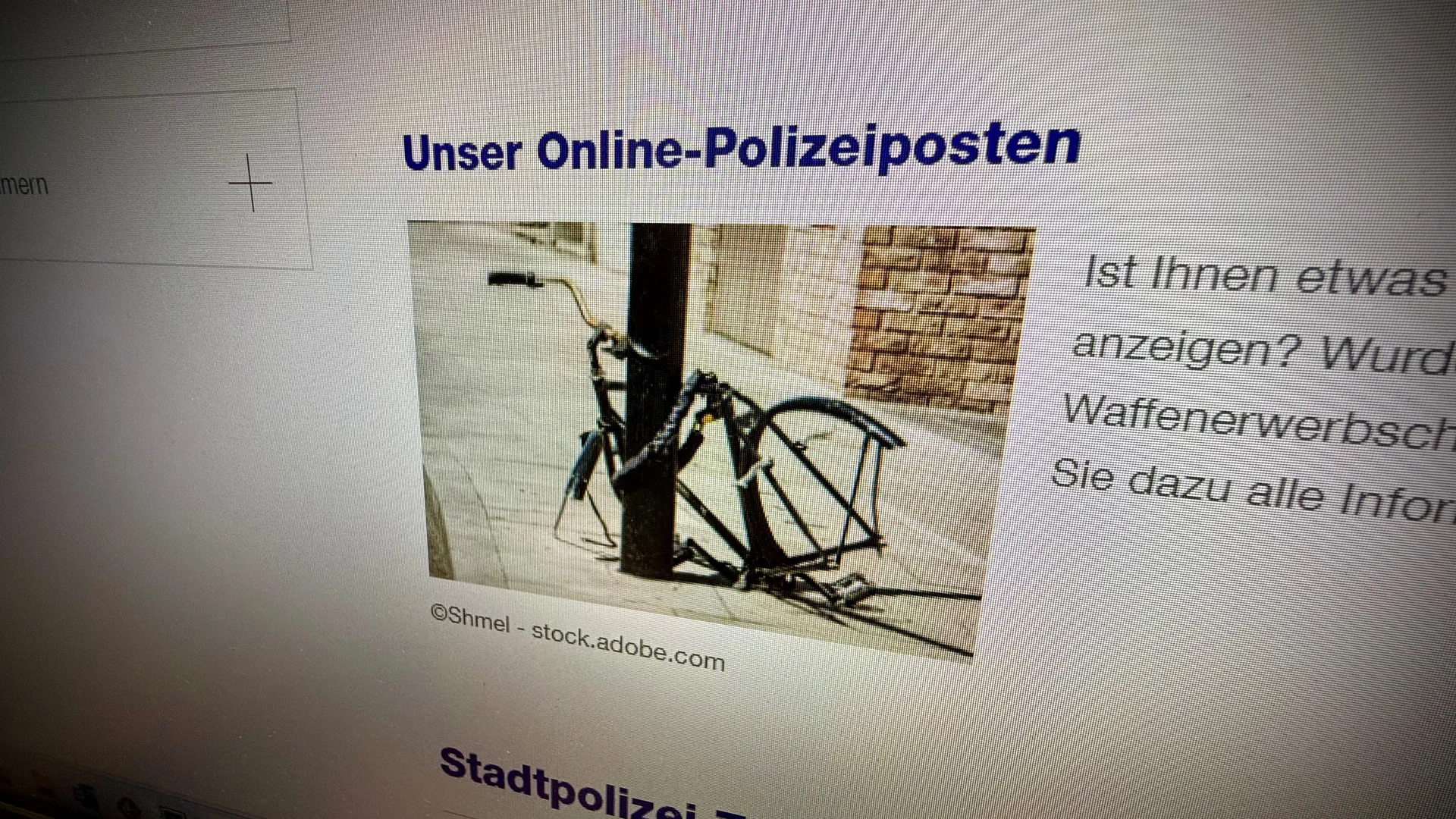 Das Angebot im Internet