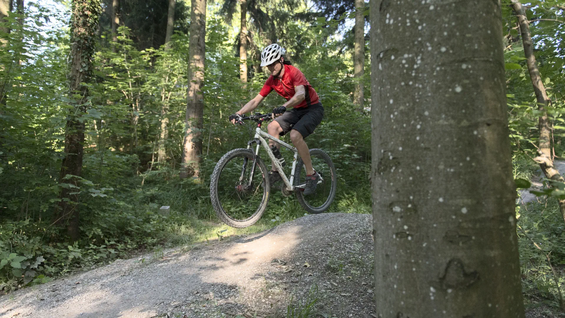 Mountainbikerin im Wald