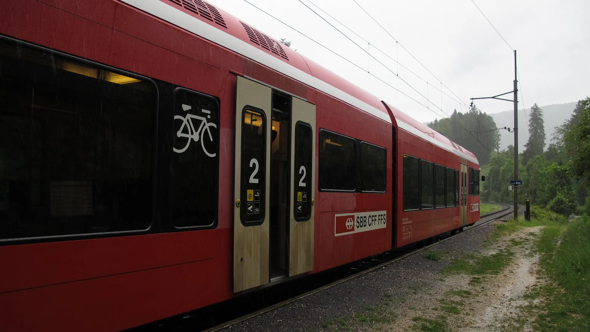 Die SBB hat in diesem Jahr entlang der Bahngleise weniger gemacht gegen Neophyten.