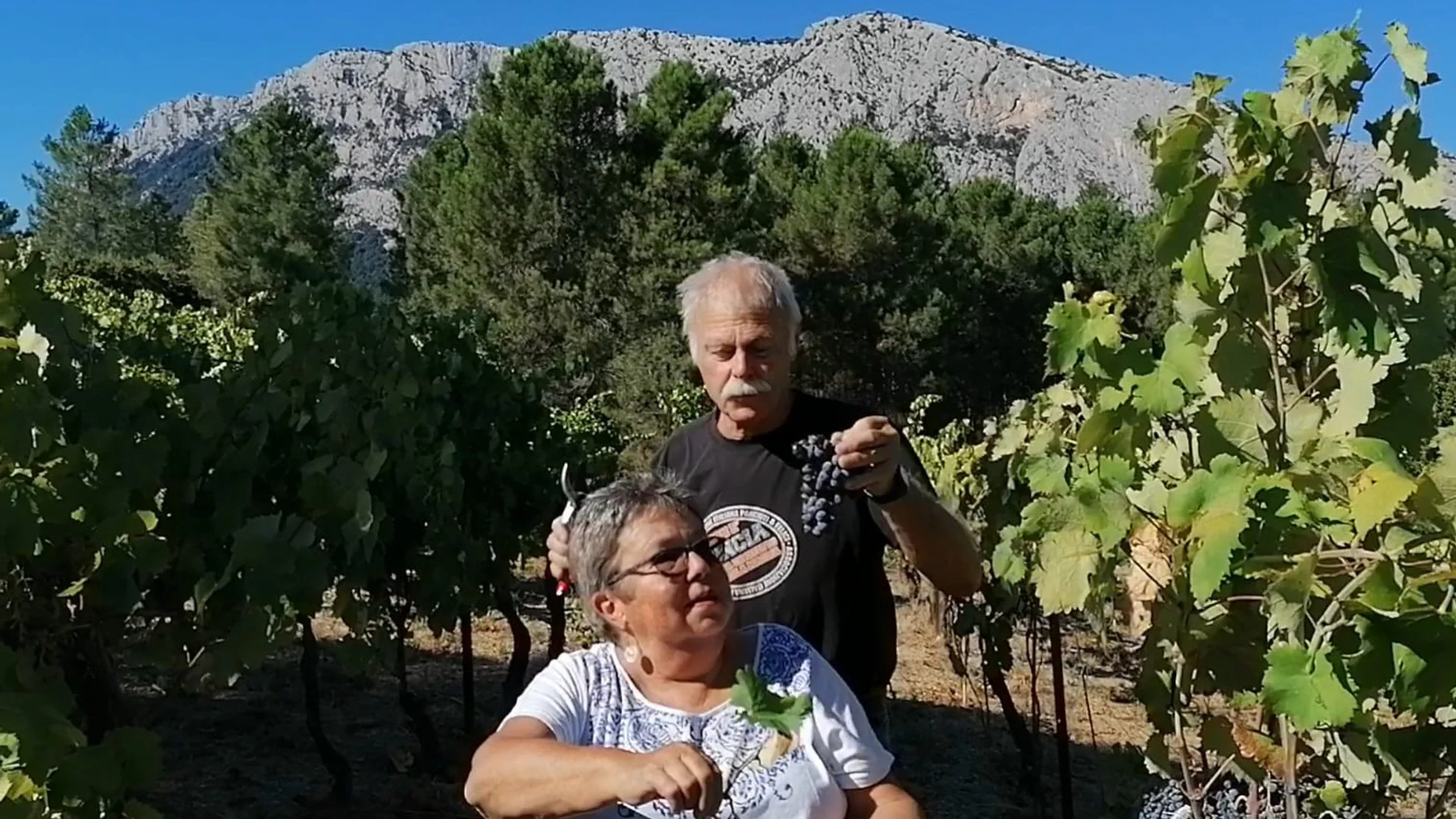 Silvia und Chris Hänni zwischen ihren Weinreben. Chris hält rote Weintrauben in der Hand. Silvia ein grünes Blatt von der Weinrebe.