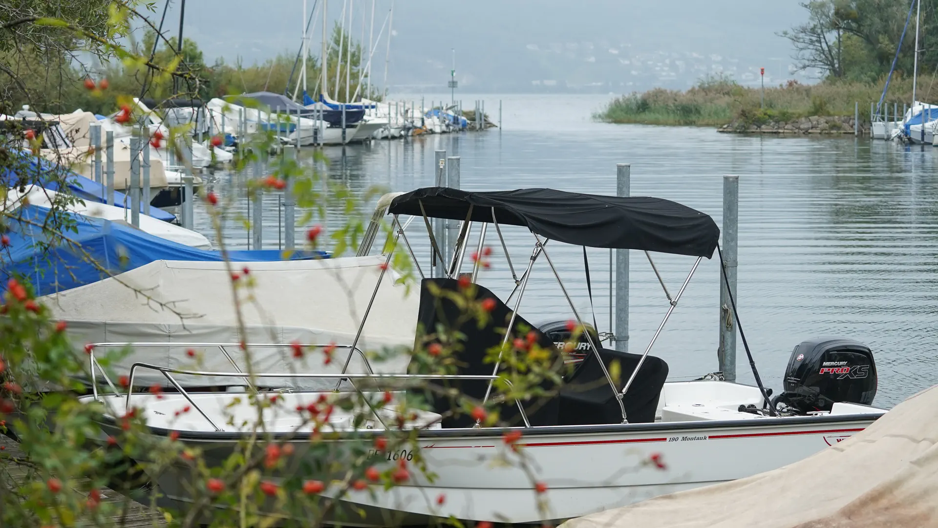 Am Bielersee kommen sich Naturschützer und Bootsfahrerinnen in die Queere.